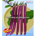 Hybrid Long Purple Red Eggplant Seeds-Hangzhou No.1